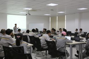 全球标准 品质保障 东风雷诺五年稳步前行