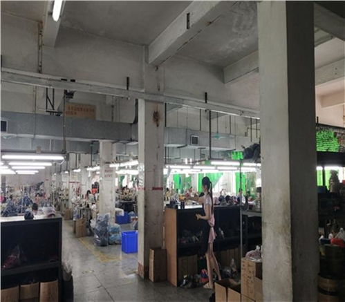 福州市培训学校房屋安全鉴定住建局认可单位 新闻联播