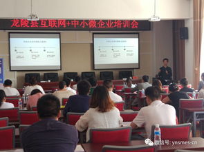 保山市 互联网 中小微企业专项行动在龙陵县成功举办