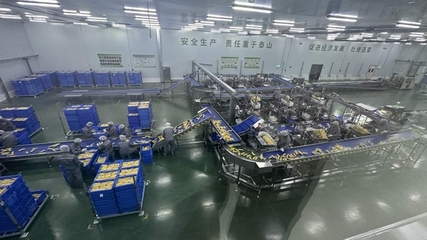 当“北纬47°”遇上“耕地大熊猫” 企业培训助力可持续农业高质量发展